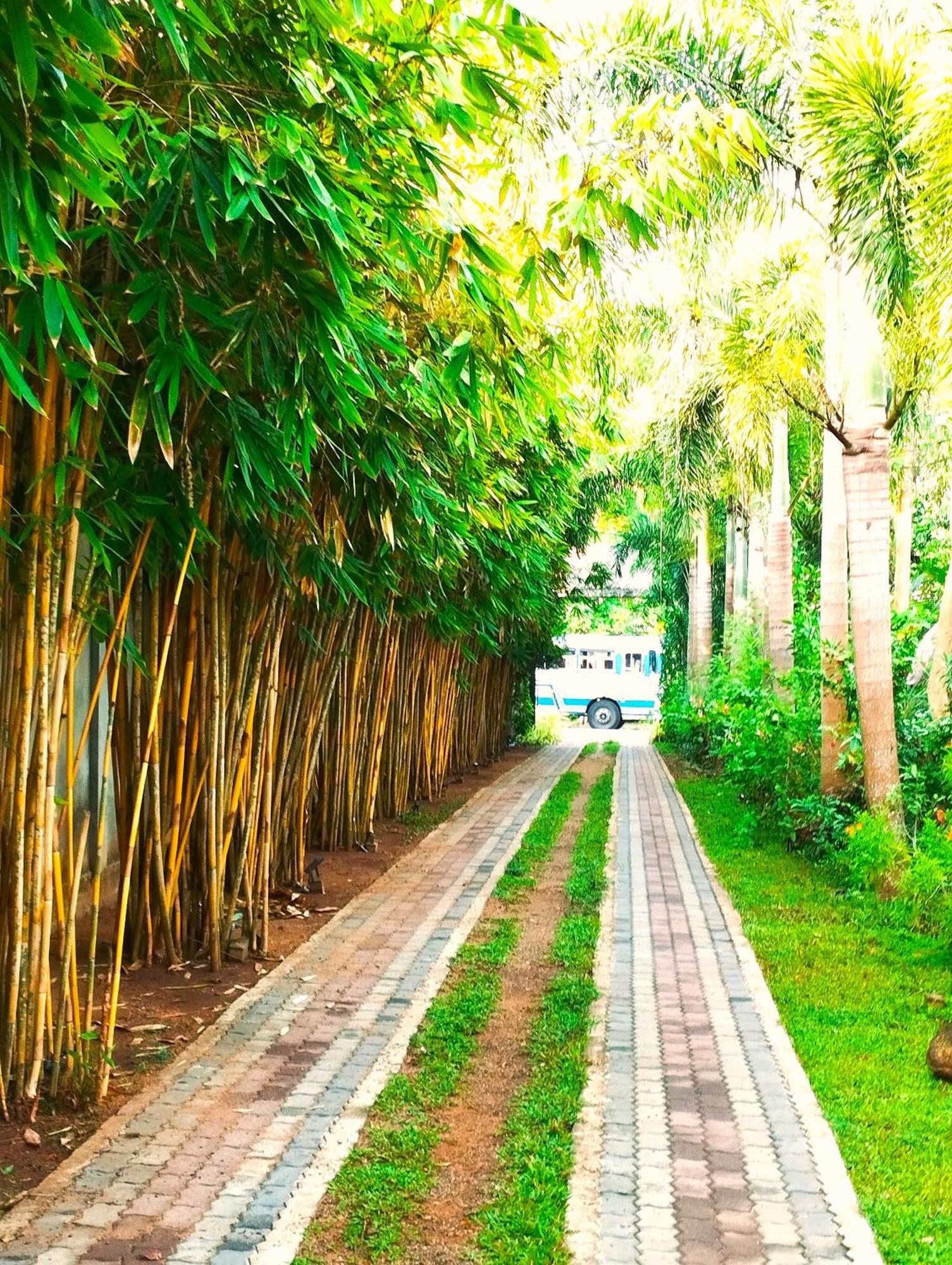 Hotel Waasala Leisure Anuradhapura Exterior foto